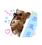 ナナコ©のスタンプ②（個別スタンプ：10）