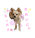 ナナコ©のスタンプ②（個別スタンプ：12）
