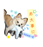ナナコ©のスタンプ②（個別スタンプ：14）