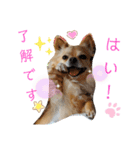 ナナコ©のスタンプ②（個別スタンプ：16）