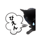 猫と俺スタンプ（個別スタンプ：15）