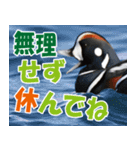 サロベツ原野のどうぶつ・野鳥（個別スタンプ：8）
