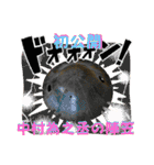 中村為之丞  武士の誇り2025 くく村のええ（個別スタンプ：22）