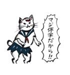 志保ちゃん(無理矢理二足歩行猫)2（個別スタンプ：14）