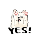 ふわふわ ポメラニアン（個別スタンプ：1）