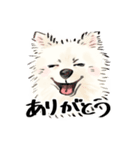 ふわふわ ポメラニアン（個別スタンプ：3）