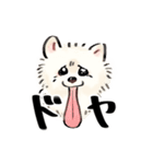 ふわふわ ポメラニアン（個別スタンプ：15）
