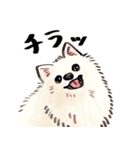 ふわふわ ポメラニアン（個別スタンプ：16）
