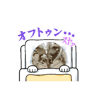 金のカブトのスタンプ（個別スタンプ：8）