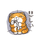 ランラン猫 28 (日本語)（個別スタンプ：8）