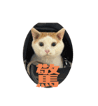 ちくわの日常スタンプ ver.2（個別スタンプ：26）