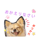 ナナコ©のスタンプ⑥（個別スタンプ：3）