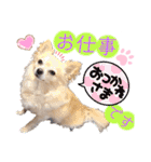 ナナコ©のスタンプ⑥（個別スタンプ：4）