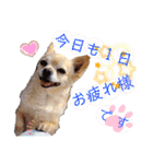 ナナコ©のスタンプ⑥（個別スタンプ：5）