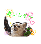 ナナコ©のスタンプ⑥（個別スタンプ：9）