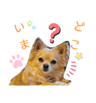ナナコ©のスタンプ⑥（個別スタンプ：13）