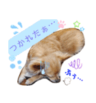 ナナコ©のスタンプ⑥（個別スタンプ：14）