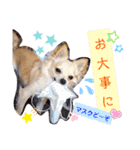ナナコ©のスタンプ⑥（個別スタンプ：15）