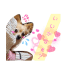ナナコ©のスタンプ⑥（個別スタンプ：18）