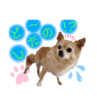 ナナコ©のスタンプ⑥（個別スタンプ：21）