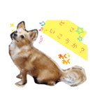 ナナコ©のスタンプ⑥（個別スタンプ：24）