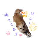 ナナコ©のスタンプ⑥（個別スタンプ：26）
