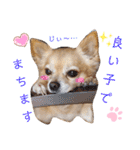 ナナコ©のスタンプ⑥（個別スタンプ：27）