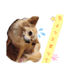 ナナコ©のスタンプ⑥（個別スタンプ：29）