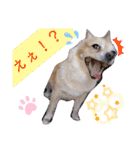 ナナコ©のスタンプ⑥（個別スタンプ：31）