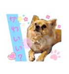 ナナコ©のスタンプ⑥（個別スタンプ：33）