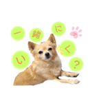 ナナコ©のスタンプ⑥（個別スタンプ：34）