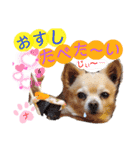 ナナコ©のスタンプ⑥（個別スタンプ：36）
