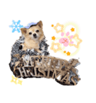 ナナコ©のスタンプ⑥（個別スタンプ：39）