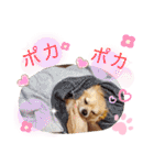 ナナコ©のスタンプ⑥（個別スタンプ：40）