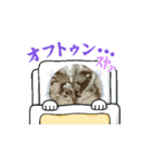 金のカブトスタンプ（個別スタンプ：8）