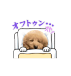 金平くんとうにちゃんぶりちゃん（個別スタンプ：9）