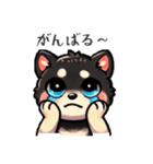 黒柴可愛いらぶもあスタンプ（個別スタンプ：5）