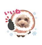 トイプーmoco！！！！！！（個別スタンプ：17）