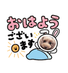 トイプーmoco！！！！！！（個別スタンプ：19）