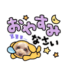 トイプーmoco！！！！！！（個別スタンプ：20）