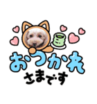トイプーmoco！！！！！！（個別スタンプ：21）