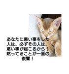 励ますにゃんこ（個別スタンプ：10）