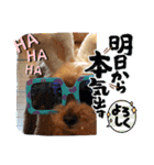 最後の時までハッピー✨️ スタンプ 日常（個別スタンプ：7）