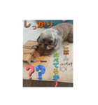最後の時までハッピー✨️ スタンプ 日常（個別スタンプ：13）