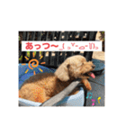 最後の時までハッピー✨️ スタンプ 日常（個別スタンプ：14）