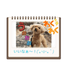 最後の時までハッピー✨️ スタンプ 日常（個別スタンプ：15）
