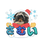 最後の時までハッピー✨️ スタンプ 日常（個別スタンプ：18）
