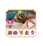 最後の時までハッピー✨️ スタンプ 日常（個別スタンプ：19）