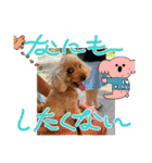 最後の時までハッピー✨️ スタンプ 日常（個別スタンプ：21）