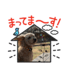 最後の時までハッピー✨️ スタンプ 日常（個別スタンプ：23）